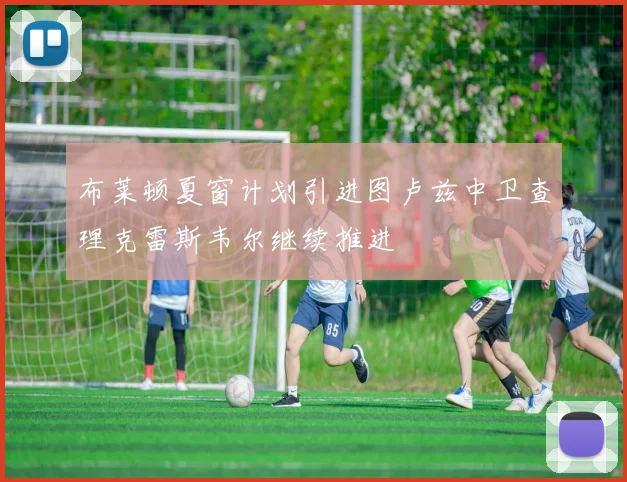 布莱顿夏窗计划引进图卢兹中卫查理克雷斯韦尔继续推进